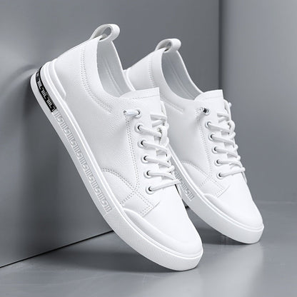 Herren Sneakers Mit Schnürung, Glattem Obermaterial, Gepolstertem Fußbett
