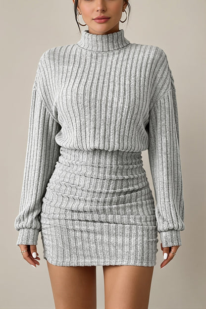 Damen-Minidress aus Rippstrick mit Rollkragen in der Gesamtansicht